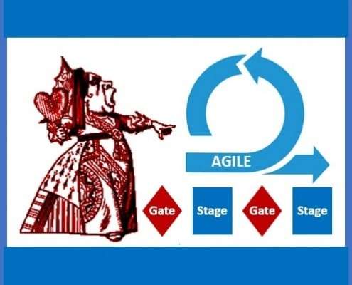 Fast Product Development